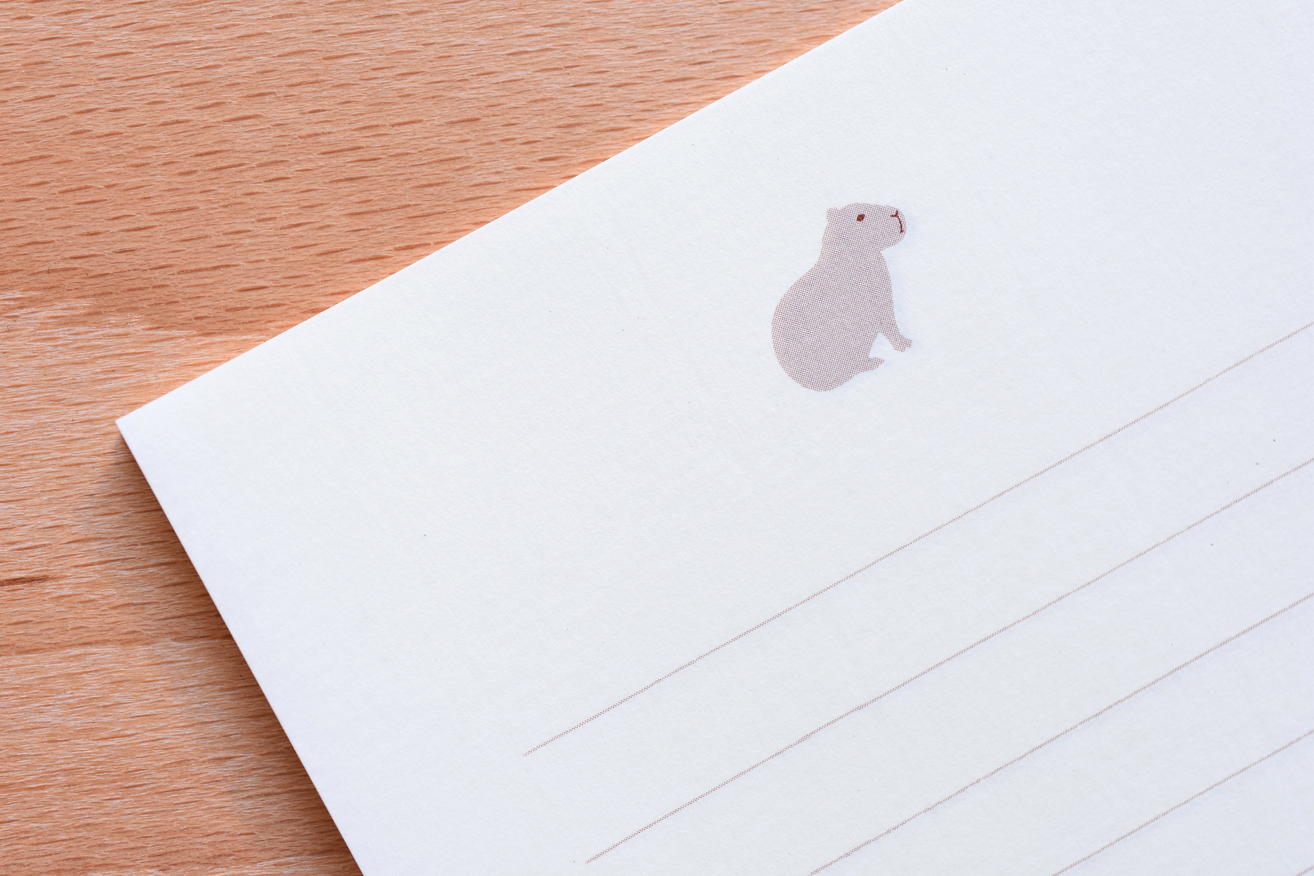 Mini Letter Set with Capybara Stickers