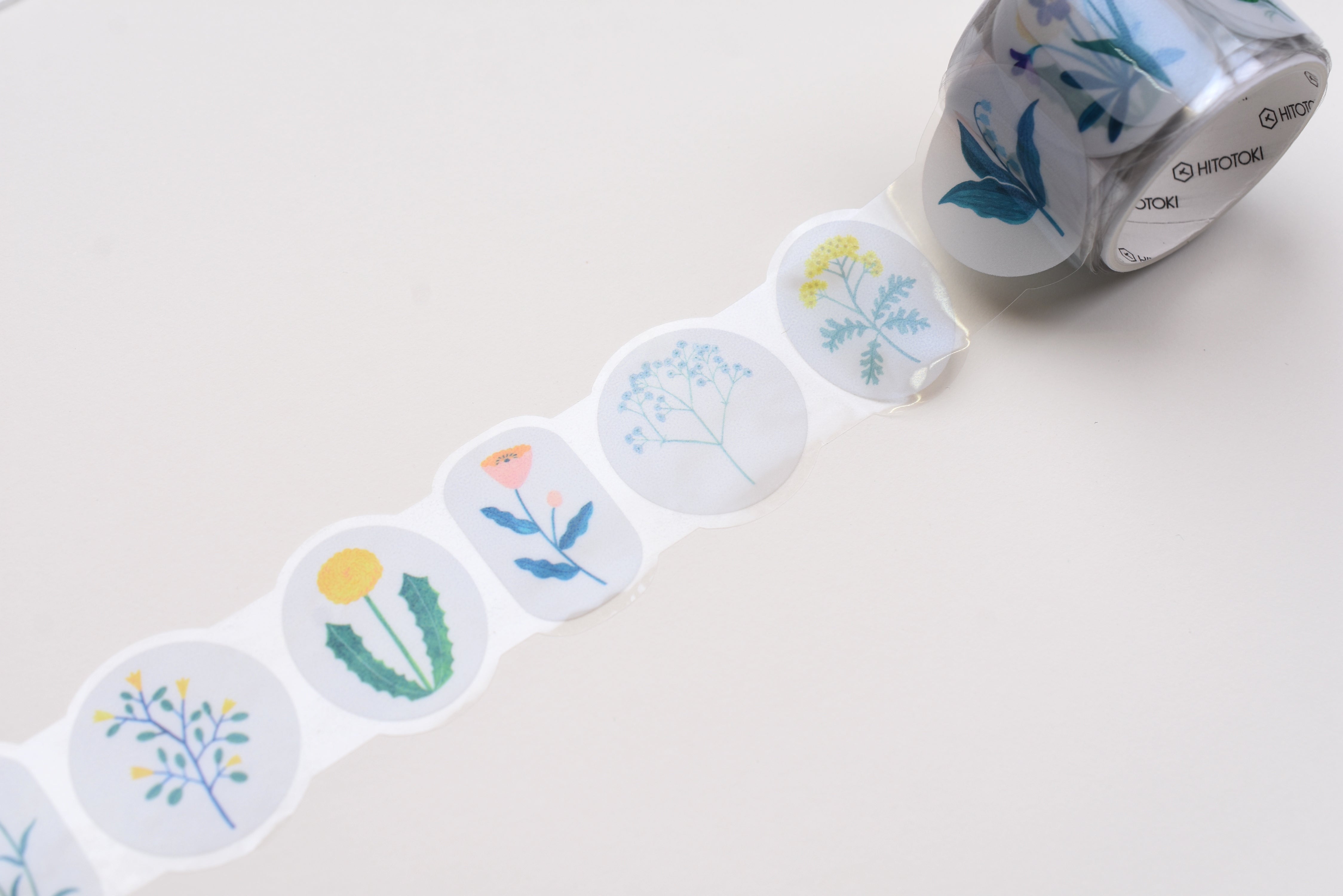 SODA Transparent Masking Tape - 30mm - Wildflower