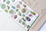 Illustrated Picture Book Stickers - Succulent