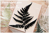 LCN Fern Specimen Stamp Set C