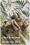 LCN Fern Specimen Stamp Set E