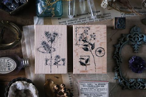 LCN Dried Flower Stamp Set C