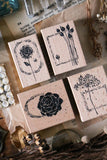 LCN Dried Flower Stamp Set F