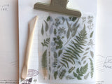 MU Print-On Stickers - Fern Greenery - #50